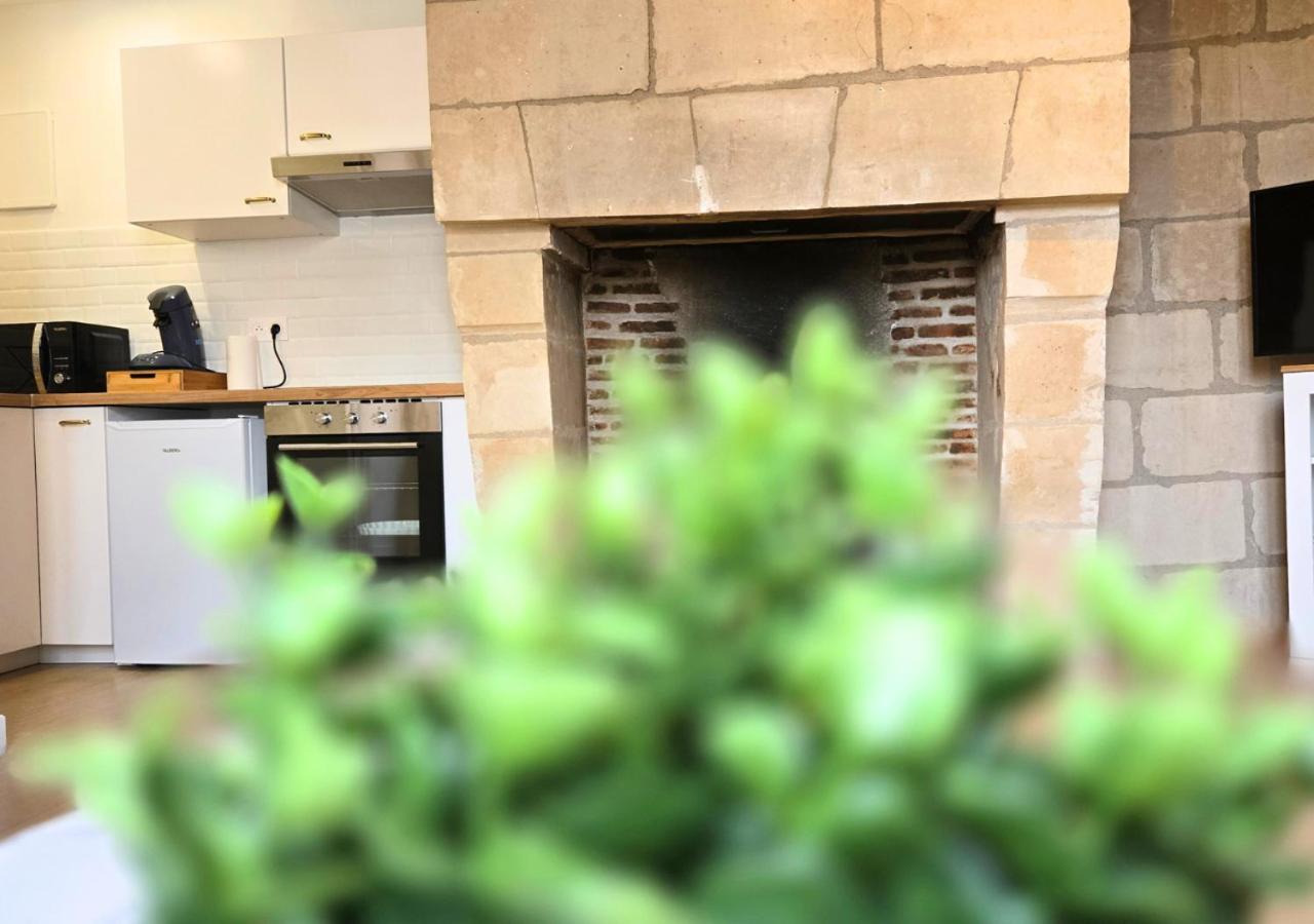 Appartement Le Constantine - Quartier Historique - Charme & Ancien Tours